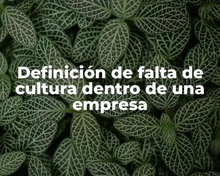 Definición de falta de cultura dentro de una empresa