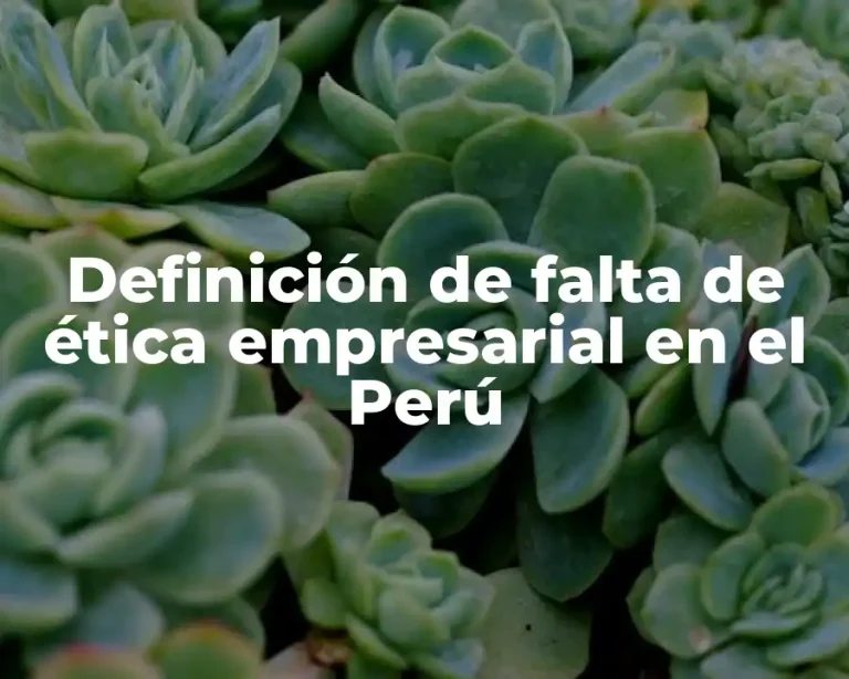 Definición de falta de ética empresarial en el Perú
