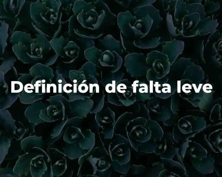 Definición de falta leve