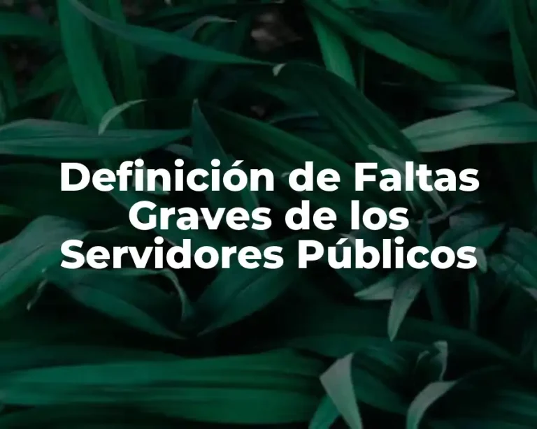 Definición de Faltas Graves de los Servidores Públicos