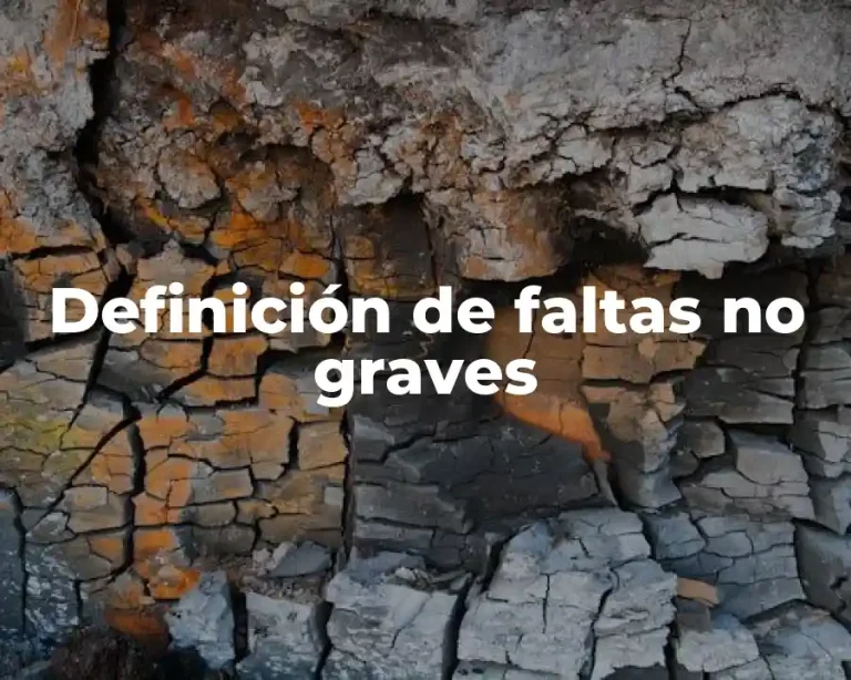 Definición de faltas no graves
