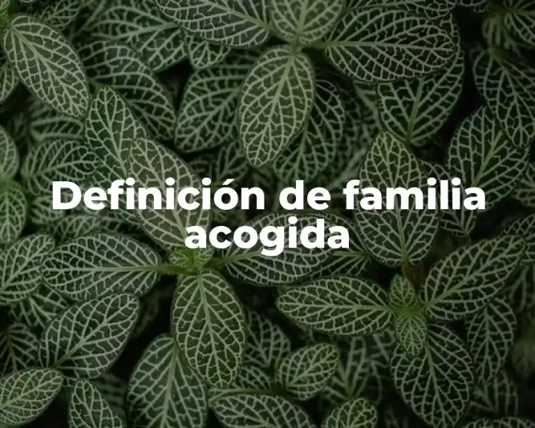 Definición de familia acogida