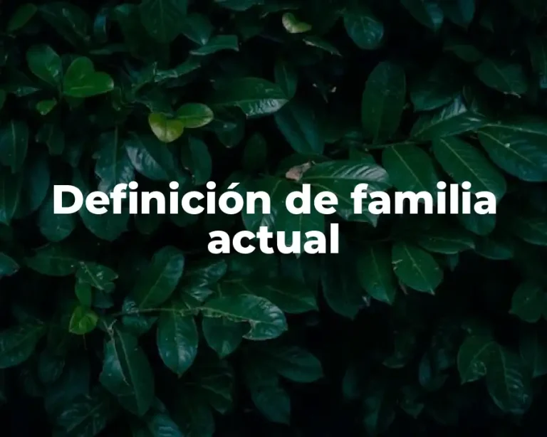 Definición de familia actual