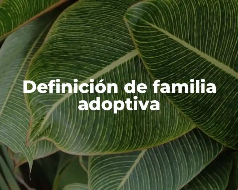 Definición de familia adoptiva