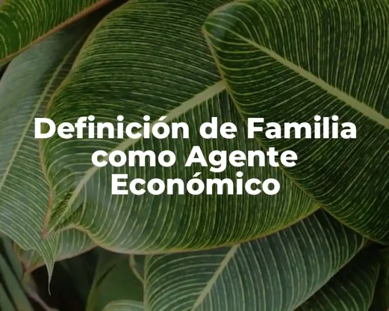 Definición de Familia como Agente Económico