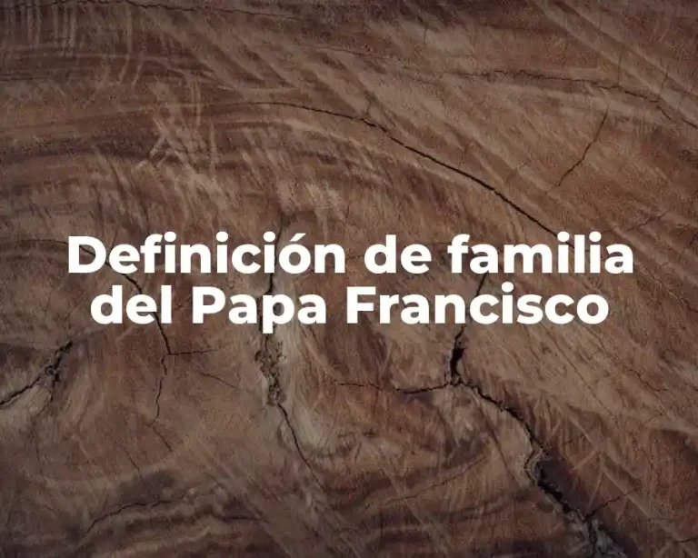 Definición de familia del Papa Francisco