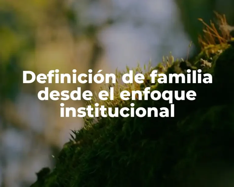 Definición de familia desde el enfoque institucional