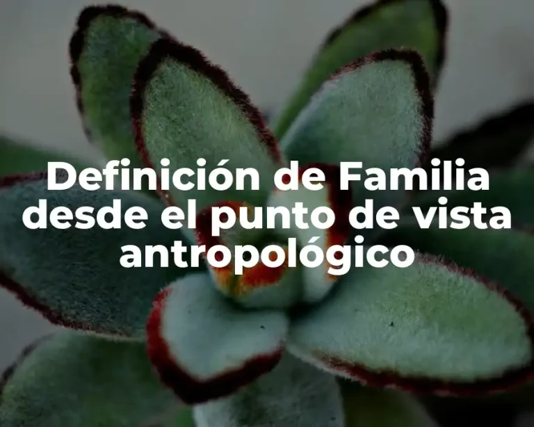 Definición de Familia desde el punto de vista antropológico