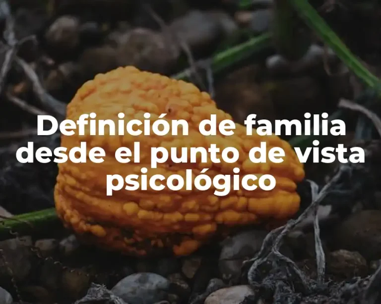 Definición de familia desde el punto de vista psicológico