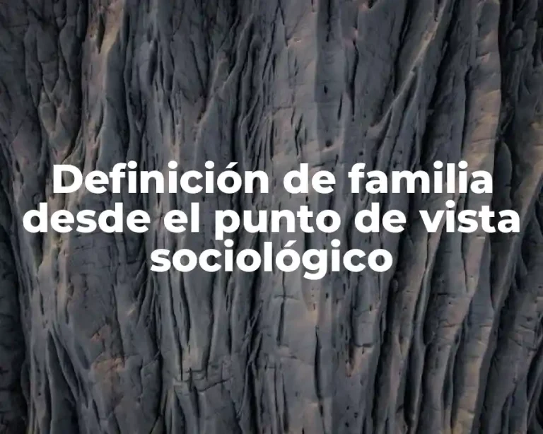 Definición de familia desde el punto de vista sociológico