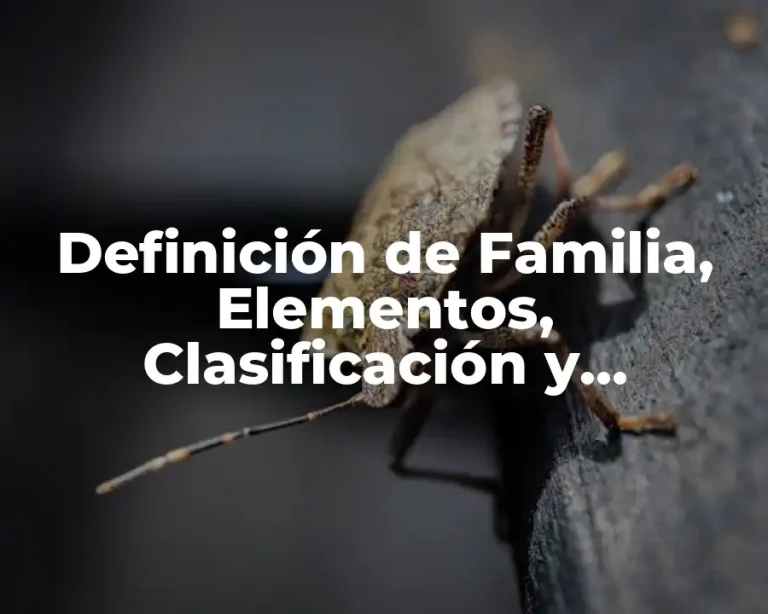 Definición de Familia, Elementos, Clasificación y Propiedades