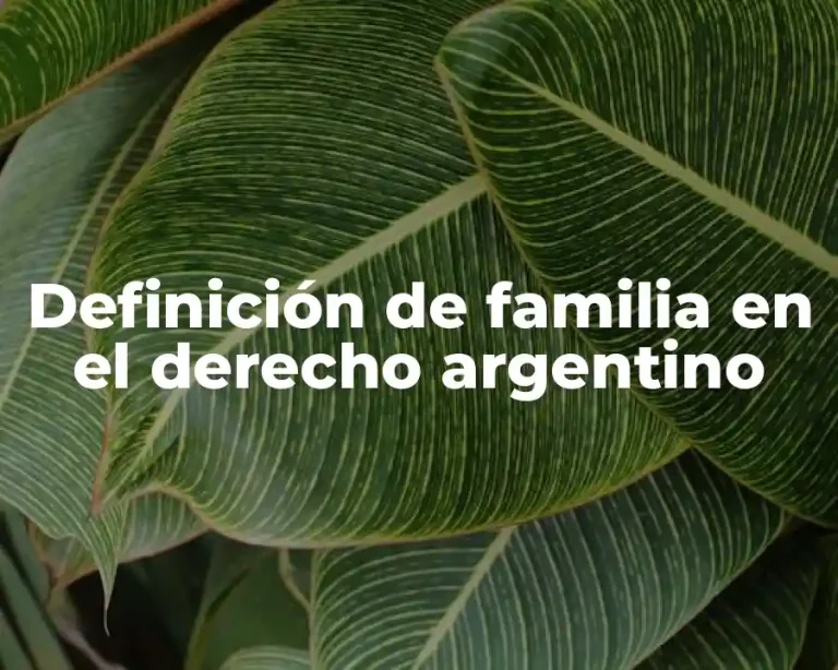 Definición de familia en el derecho argentino