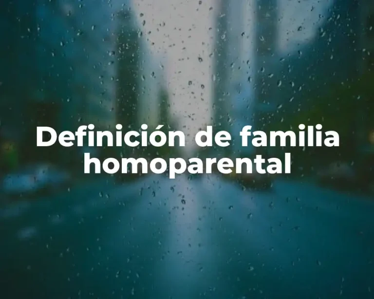 Definición de familia homoparental
