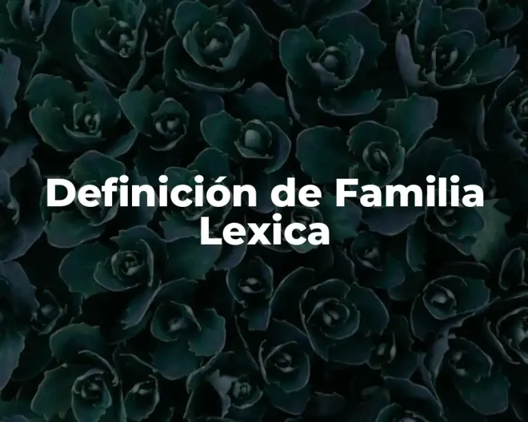 Definición de Familia Lexica