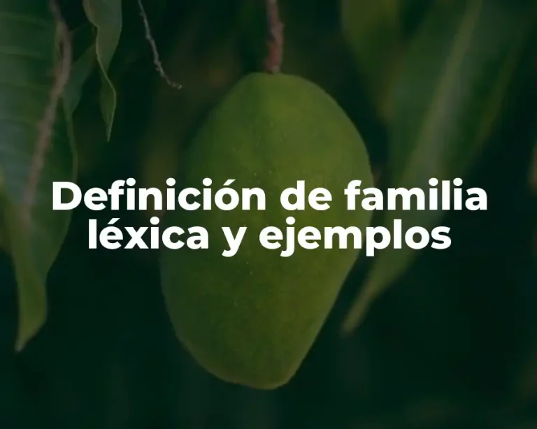 Definición de familia léxica y ejemplos