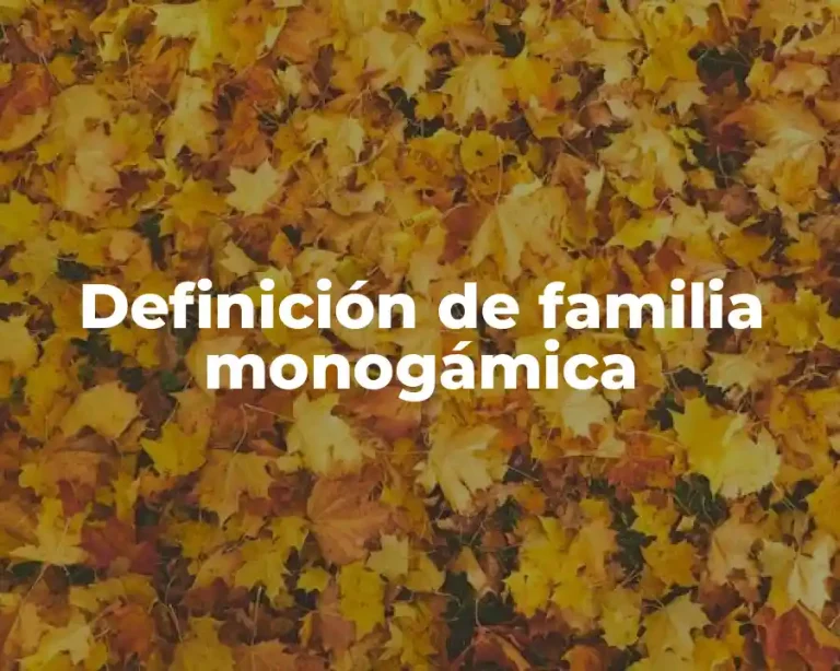 Definición de familia monogámica