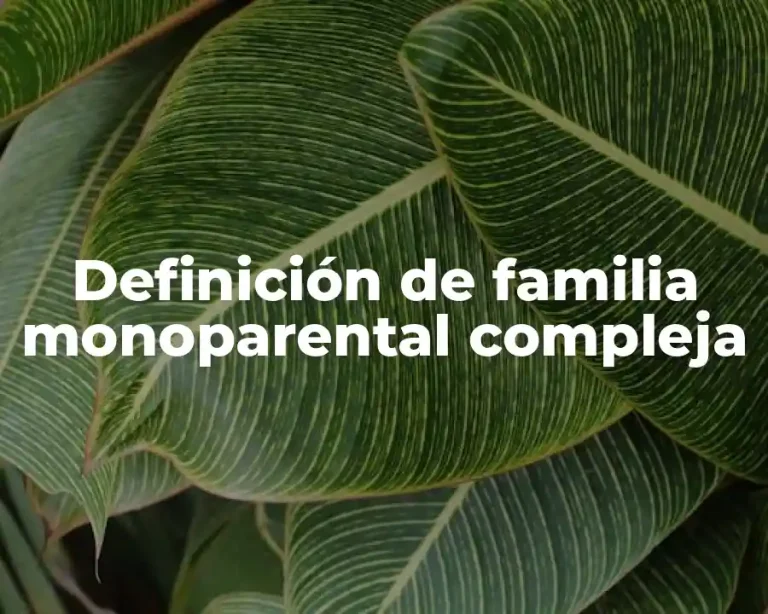 Definición de familia monoparental compleja