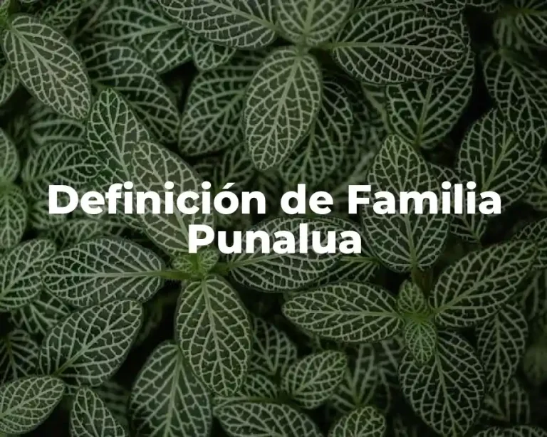 Definición de Familia Punalua