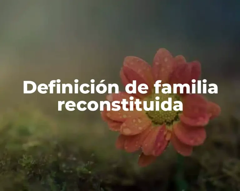 Definición de familia reconstituida