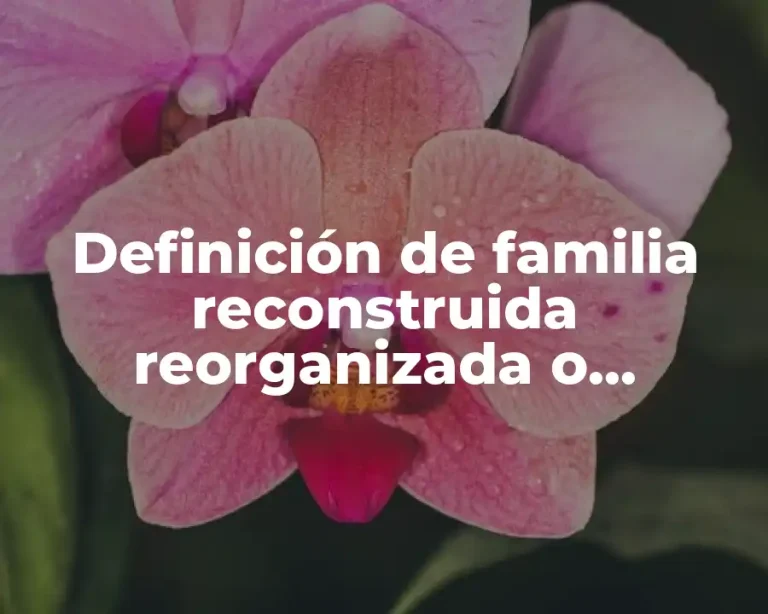 Definición de familia reconstruida reorganizada o binuclear