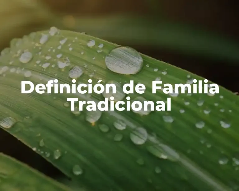 Definición de Familia Tradicional