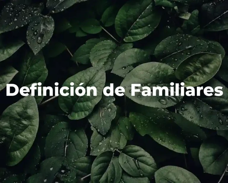 Definición de Familiares