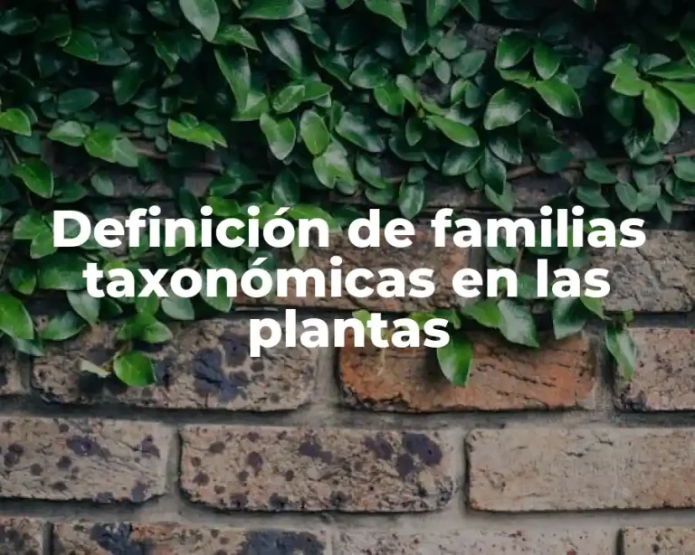 Definición de familias taxonómicas en las plantas