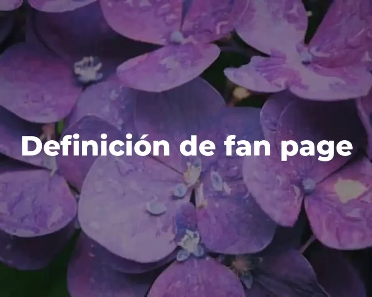 Definición de fan page