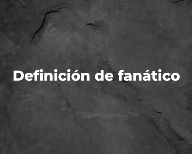 Definición de fanático