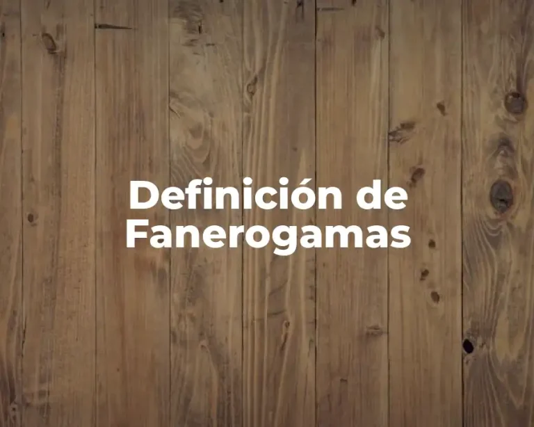 Definición de Fanerogamas