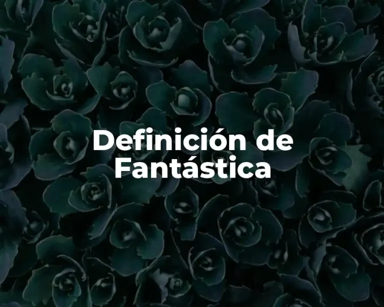Definición de Fantástica