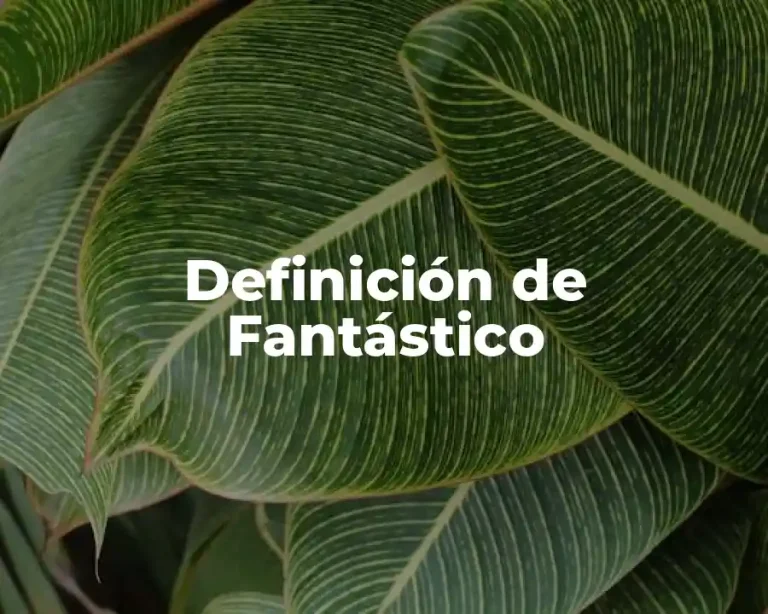 Definición de Fantástico
