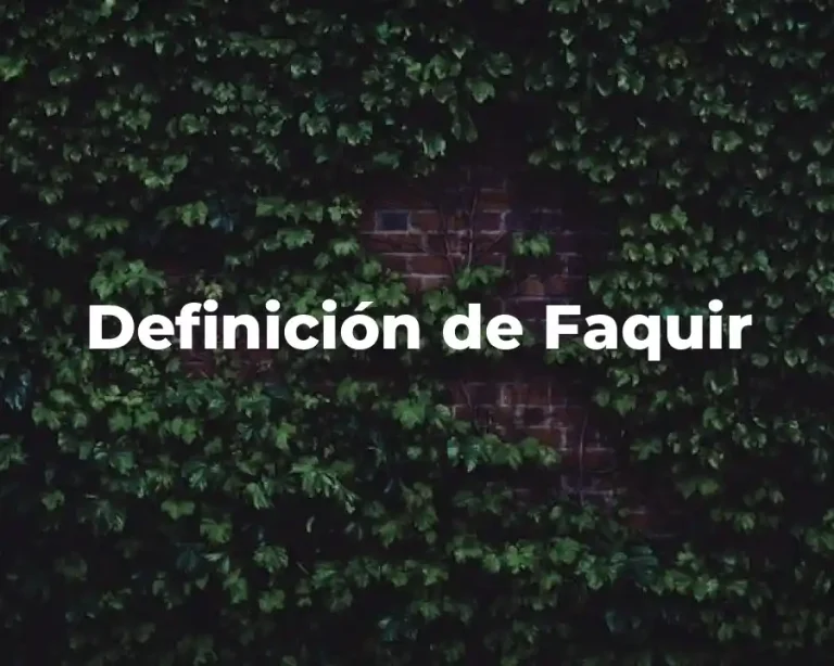 Definición de Faquir