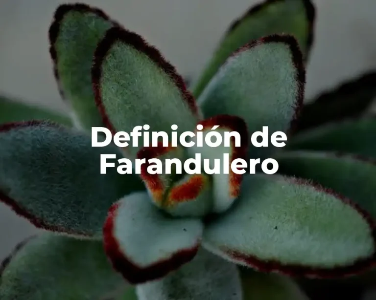 Definición de Farandulero