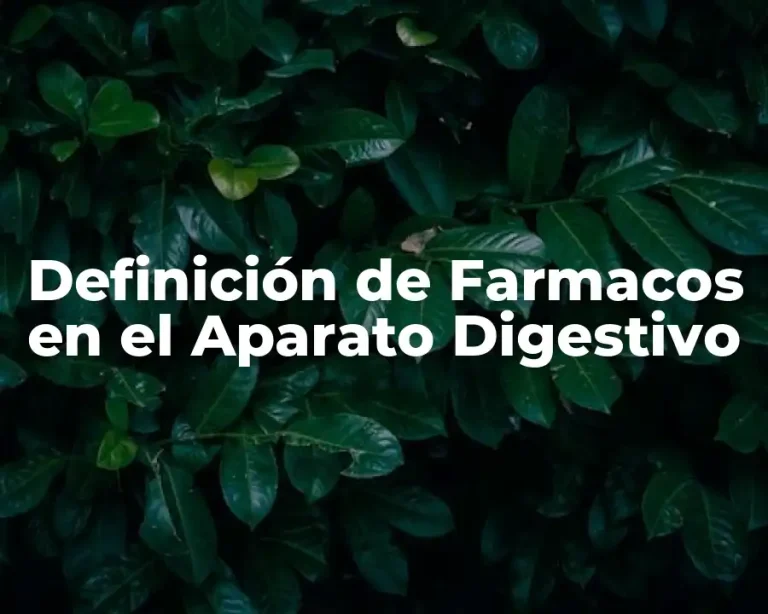 Definición de Farmacos en el Aparato Digestivo