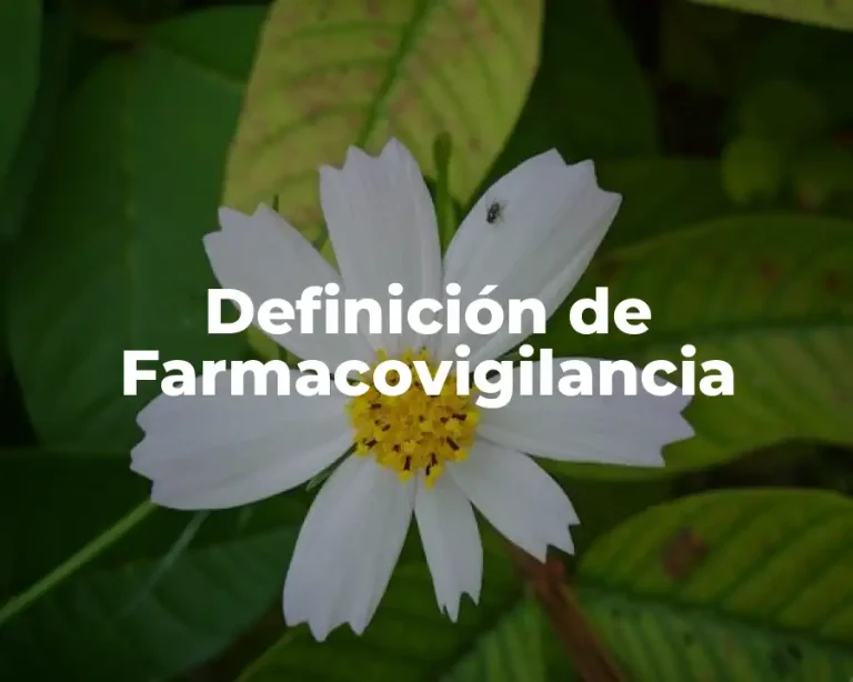 Definición de Farmacovigilancia