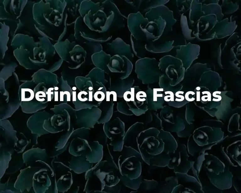 Definición de Fascias