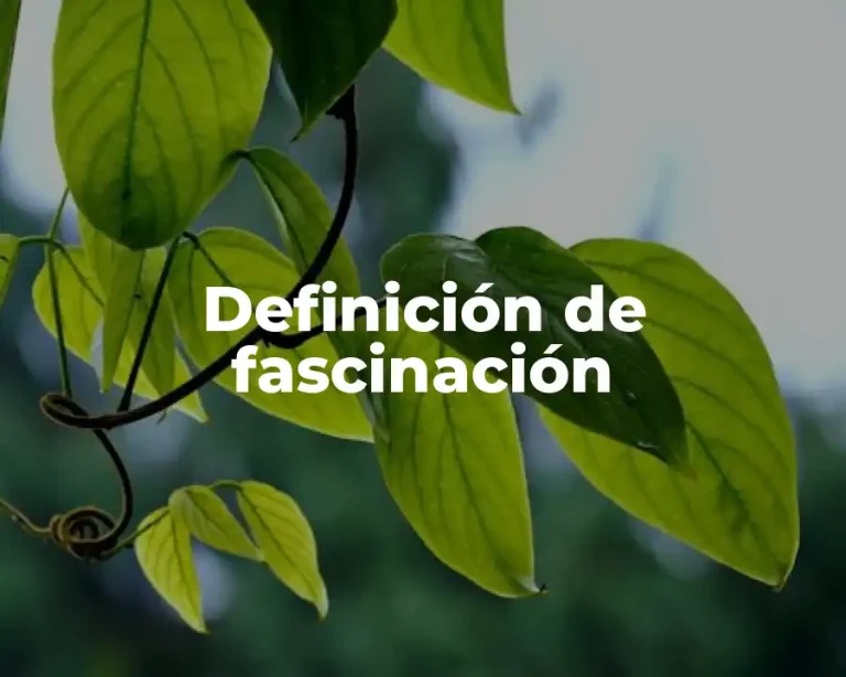 Definición de fascinación