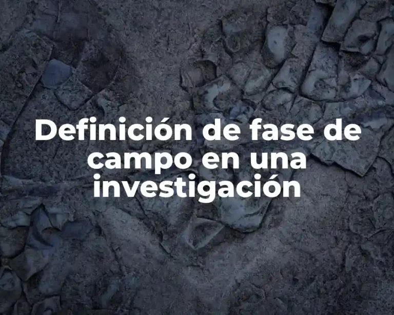 Definición de fase de campo en una investigación