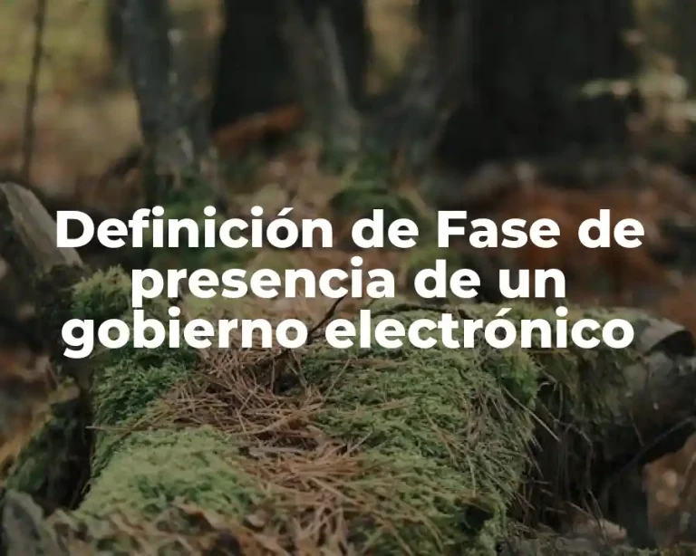 Definición de Fase de presencia de un gobierno electrónico