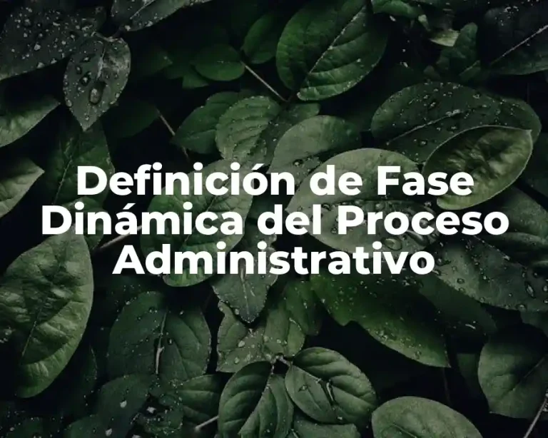 Definición de Fase Dinámica del Proceso Administrativo
