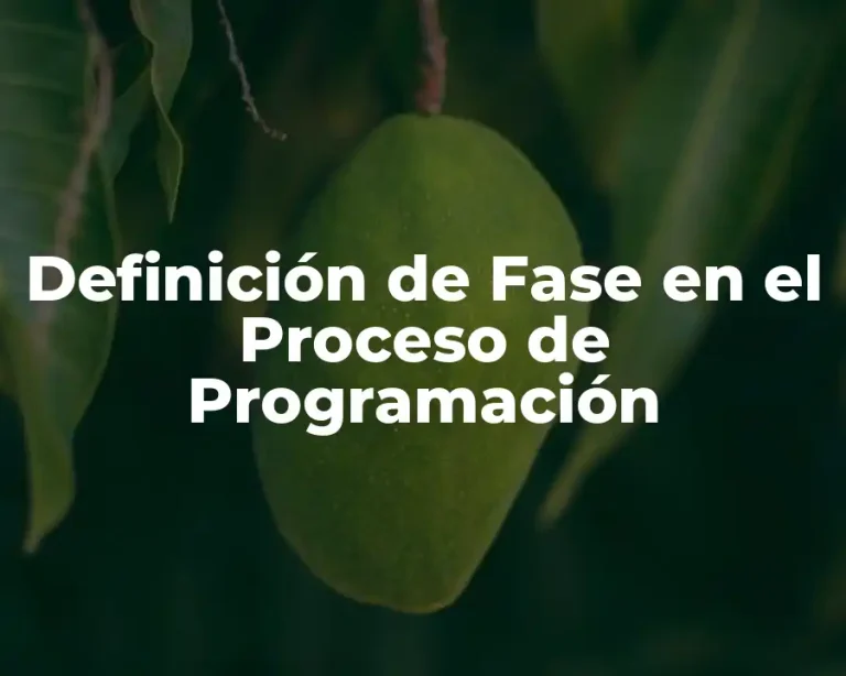 Definición de Fase en el Proceso de Programación