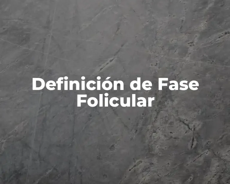 Definición de Fase Folicular