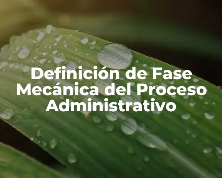 Definición de Fase Mecánica del Proceso Administrativo