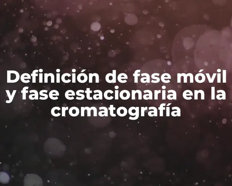 Definición de fase móvil y fase estacionaria en la cromatografía