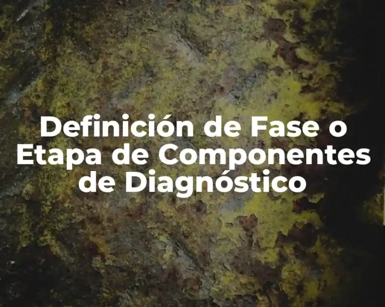 Definición de Fase o Etapa de Componentes de Diagnóstico