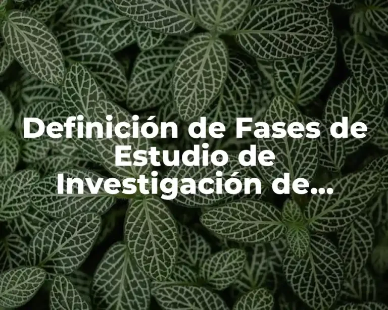Definición de Fases de Estudio de Investigación de Operaciones