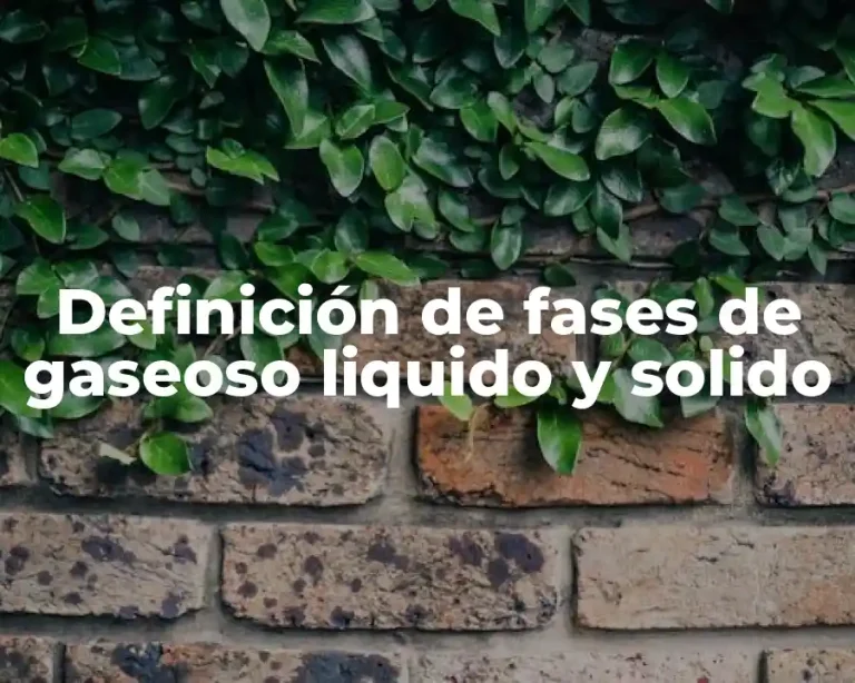 Definición de fases de gaseoso liquido y solido