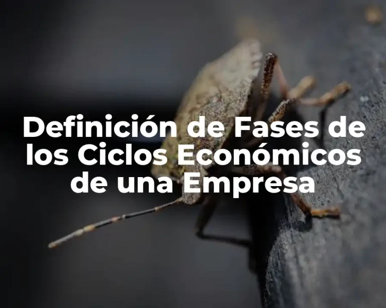 Definición de Fases de los Ciclos Económicos de una Empresa