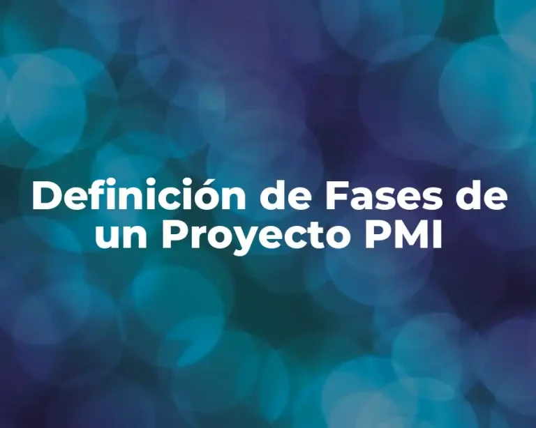 Definición de Fases de un Proyecto PMI
